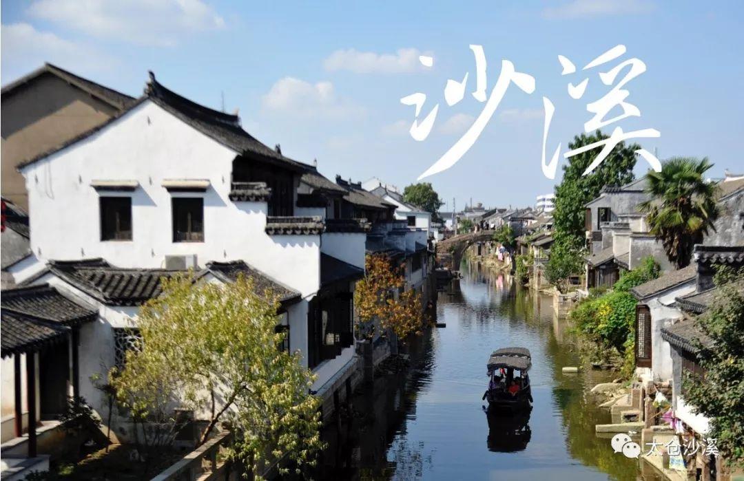 僵尸女友爱爬树