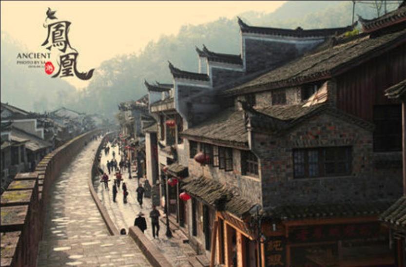 猫咪的道歉方式游戏画面